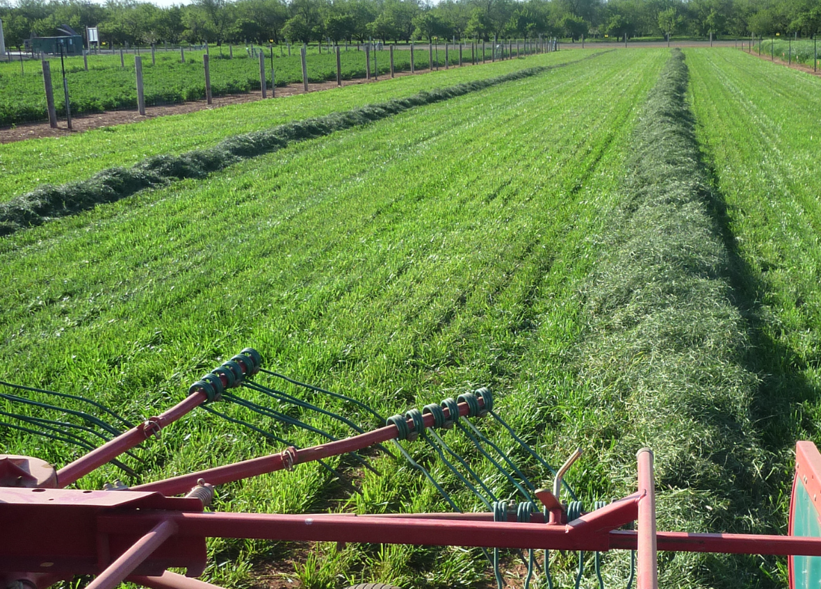 demo site seed agriculture