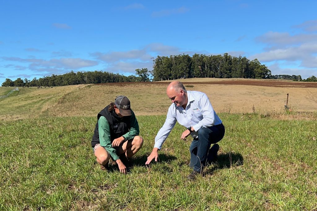 Alex Triffett (Nutrien Ag) and David Squibb (AlfaGen Seeds) inspect the ryegrass stand