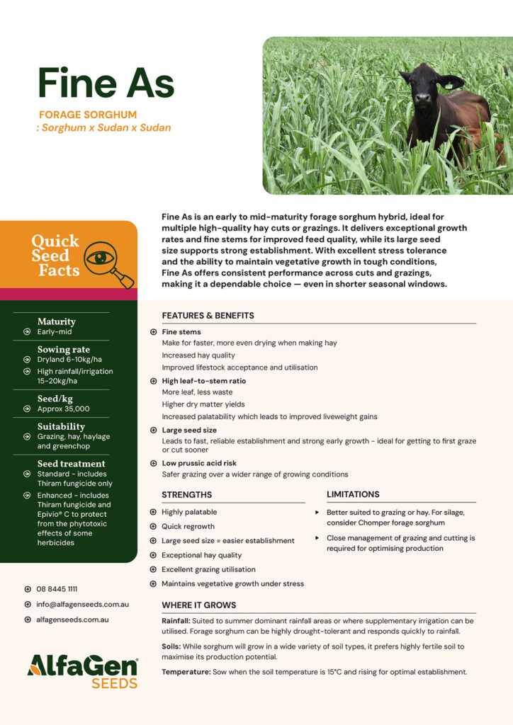 exceptional growth rates and fine stems for improved feed quality