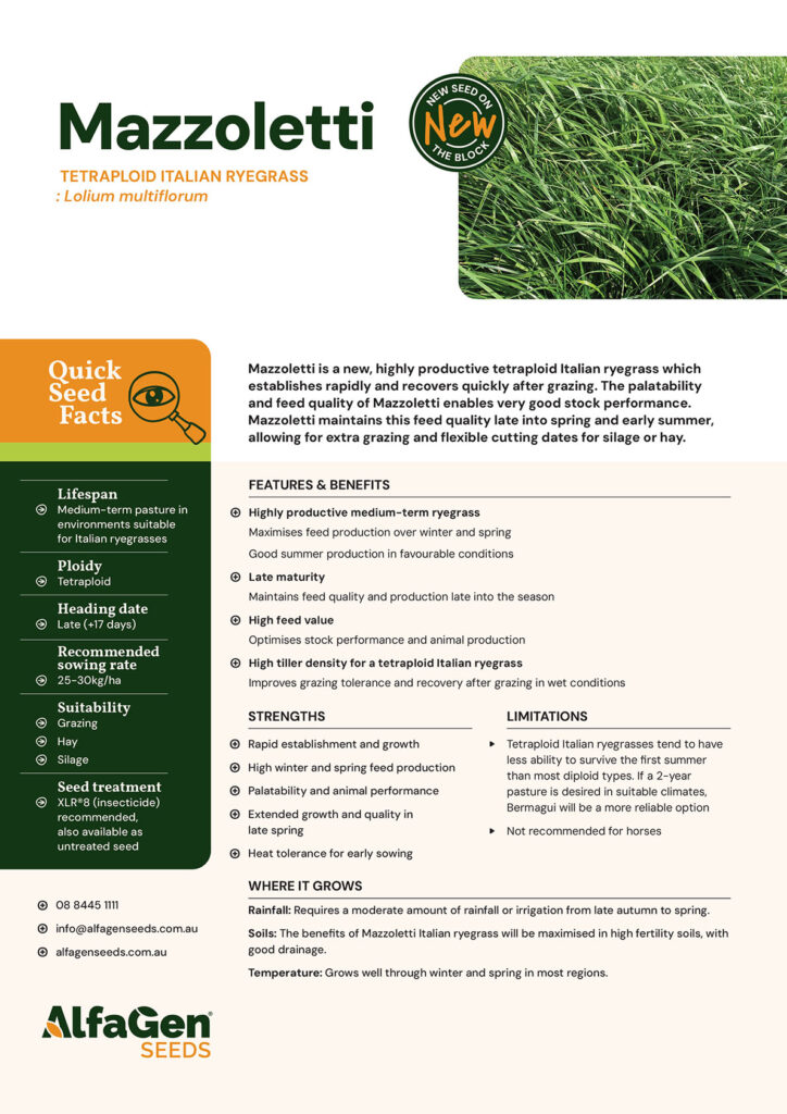 Mazzoletti tech sheet