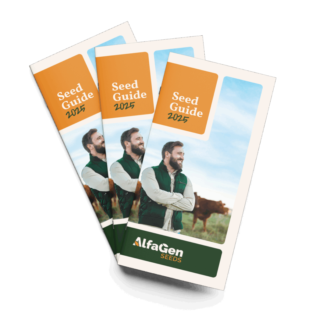 Pasture and lucerne seeds australia