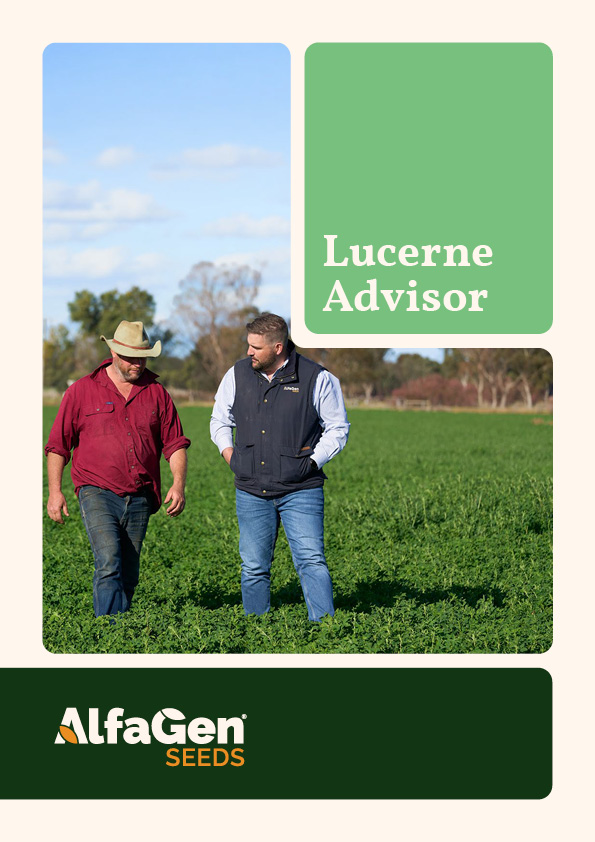 lucerne seed australia